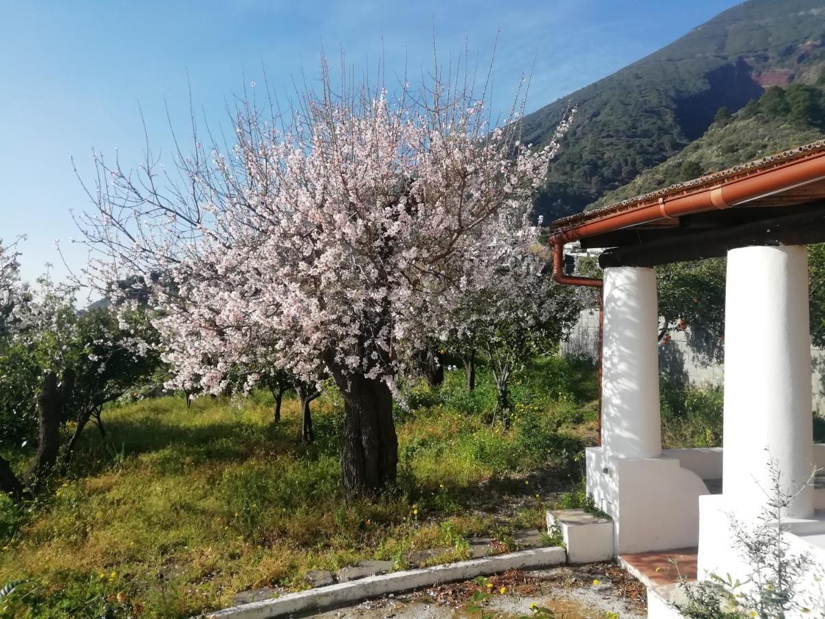 Da Marusca Διαμέρισμα Santa Marina Salina Εξωτερικό φωτογραφία